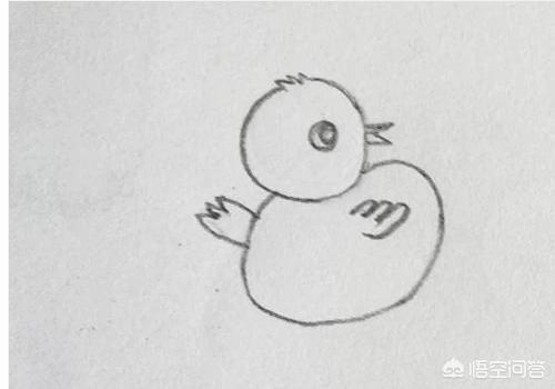 鸡宝宝速写鸡宝宝画法