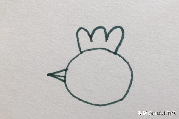 鸡宝宝速写鸡宝宝画法