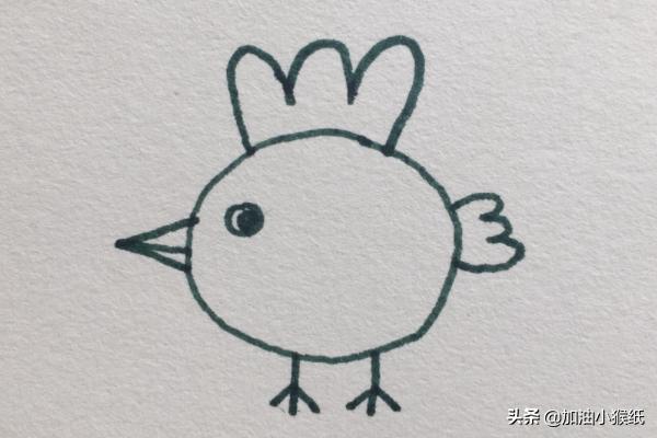 鸡宝宝速写鸡宝宝画法