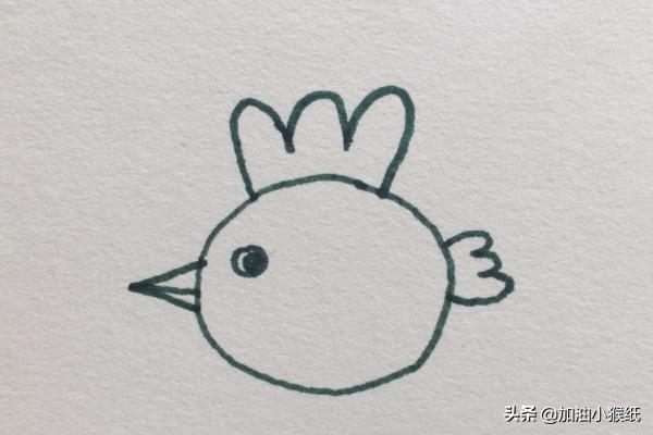 鸡宝宝速写鸡宝宝画法