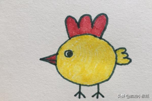 鸡宝宝速写鸡宝宝画法
