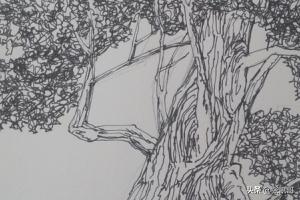 速写穿插套路速写穿插套路图片 速写穿插套路速写穿插套路图片