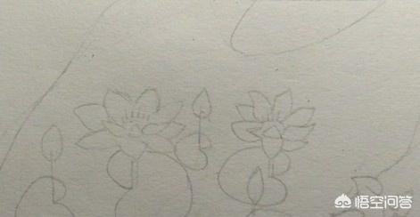 荷花创意速写荷花创意速写图片