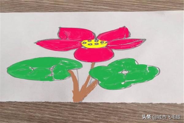 荷花创意速写荷花创意速写图片