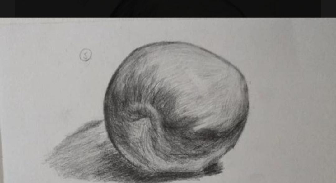 静物速写教案静物速写教案中班