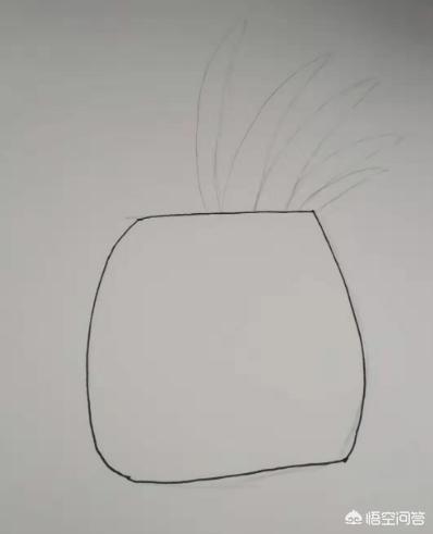 食物设计速写食物设计速写图片