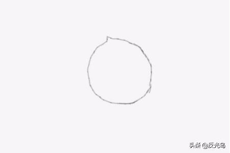 食物设计速写食物设计速写图片