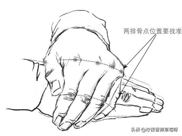 速写局部双手速写局部双手怎么画