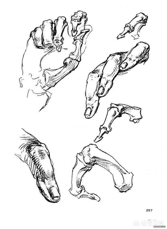 速写局部双手速写局部双手怎么画