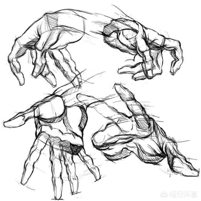 速写局部双手速写局部双手怎么画