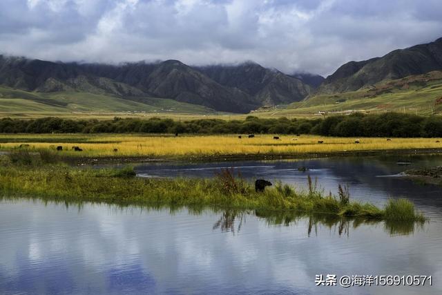 风景局部速写风景局部速写图片