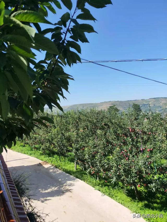 田园风景速写田园风景速写临摹图片