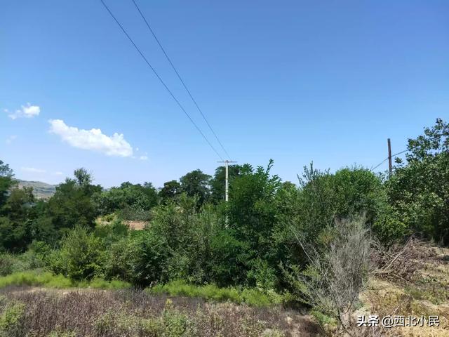 田园风景速写田园风景速写临摹图片 田园风景速写田园风景速写临摹图片