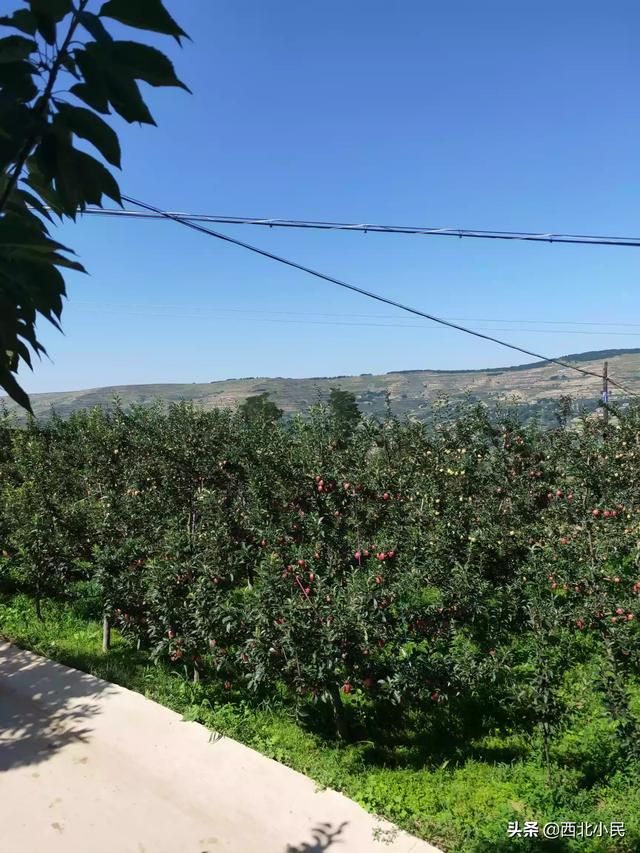 田园风景速写田园风景速写临摹图片 田园风景速写田园风景速写临摹图片