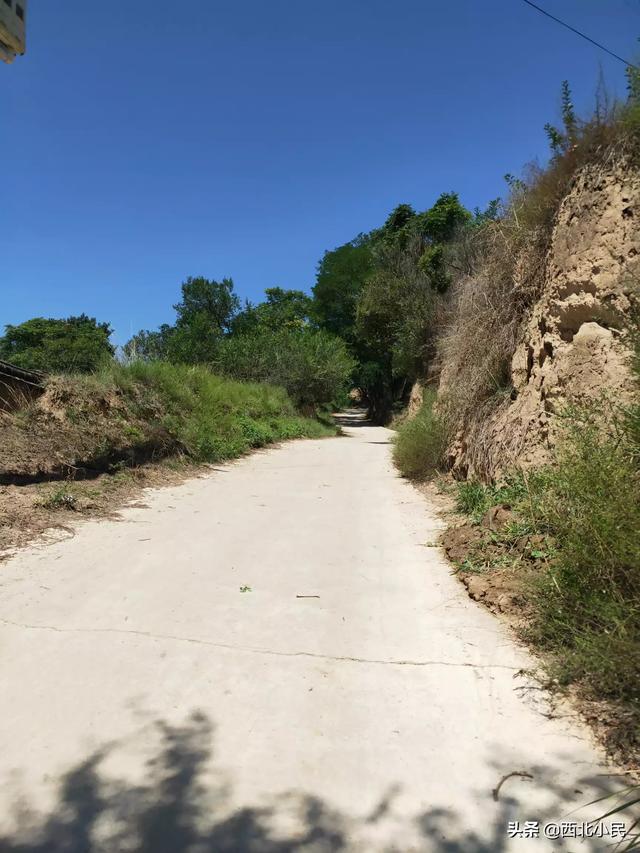 田园风景速写田园风景速写临摹图片 田园风景速写田园风景速写临摹图片