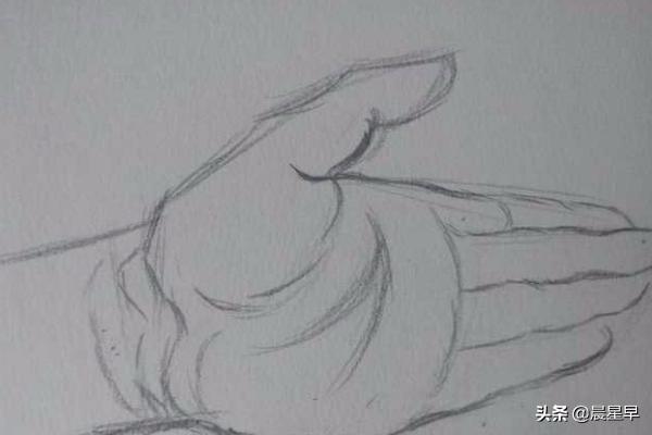 速写手部特写速写手部特写素材