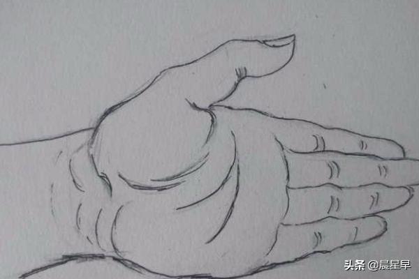 速写手部特写速写手部特写素材