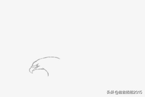 鸟速写写生速写鸟的画法 鸟速写写生速写鸟的画法