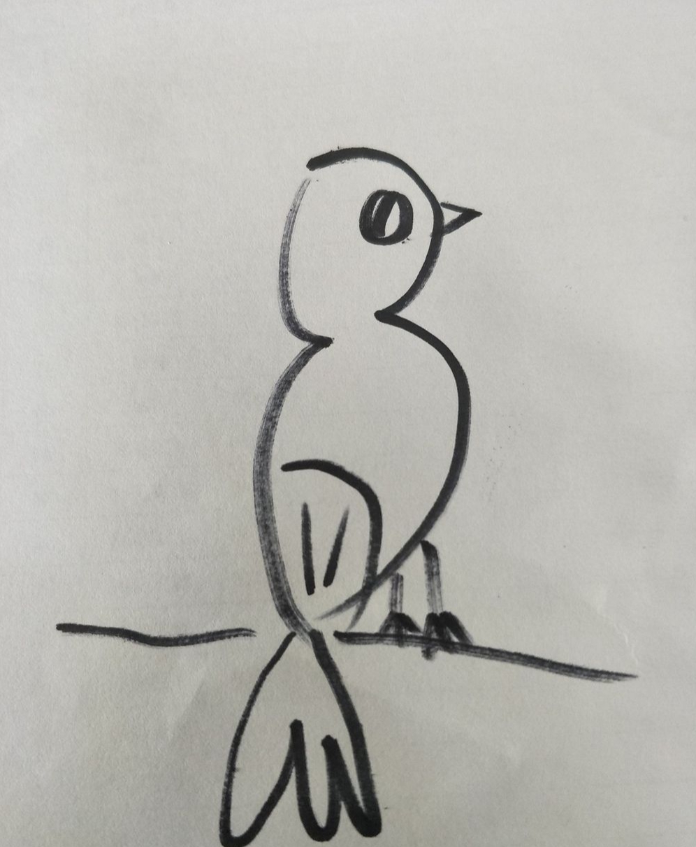 鸟速写写生速写鸟的画法
