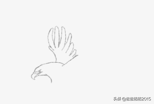 鸟速写写生速写鸟的画法 鸟速写写生速写鸟的画法