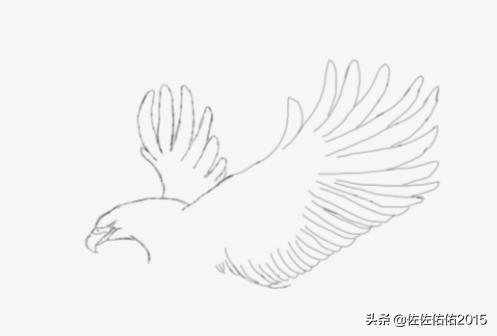 鸟速写写生速写鸟的画法 鸟速写写生速写鸟的画法