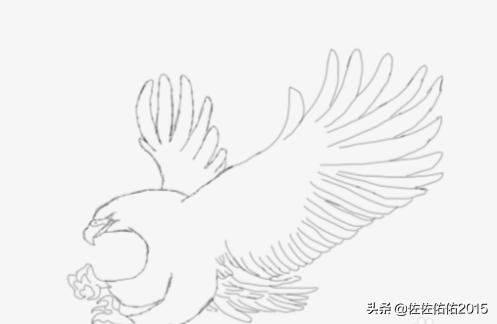 鸟速写写生速写鸟的画法 鸟速写写生速写鸟的画法