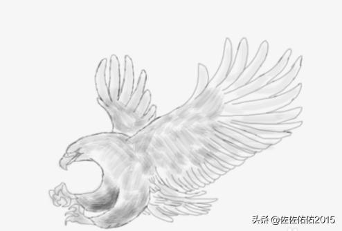 鸟速写写生速写鸟的画法 鸟速写写生速写鸟的画法