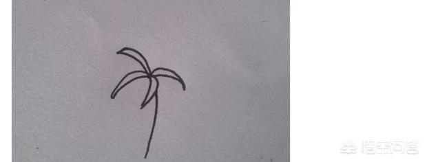 彼岸花速写彼岸花速写图片临摹 彼岸花速写彼岸花速写图片临摹