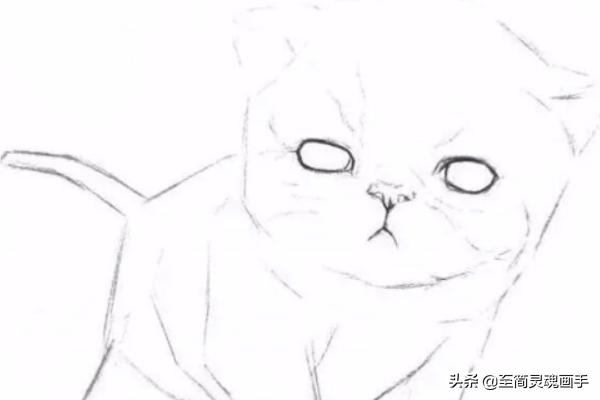 可爱动物速写可爱动物速写图片大全