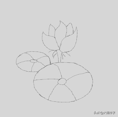 风景速写荷花风景速写荷花池