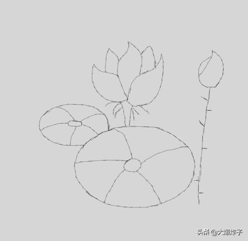 风景速写荷花风景速写荷花池