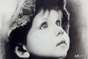 植物花朵速写植物花朵速写图片