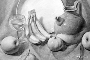 植物花朵速写植物花朵速写图片