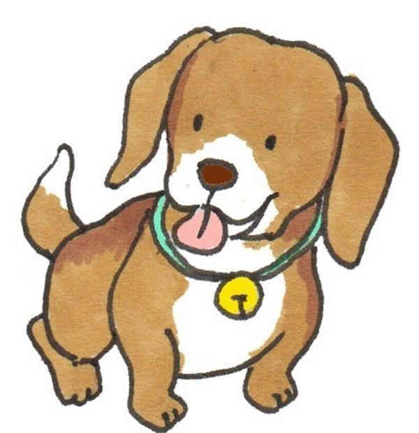 卡通画田园犬的绘画步骤