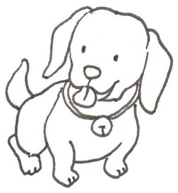 卡通画田园犬的绘画步骤