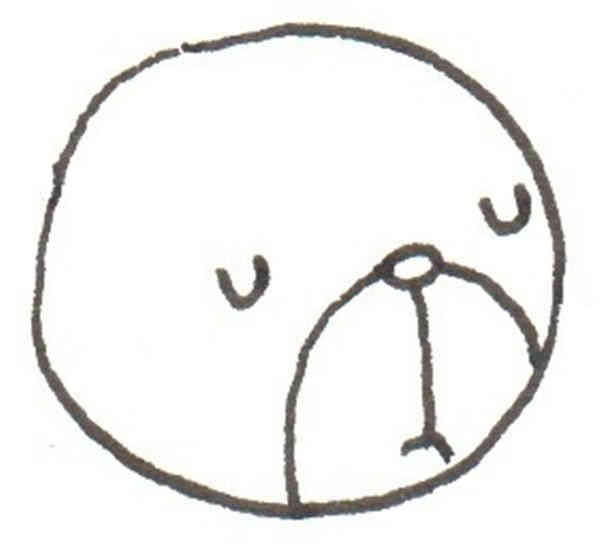 卡通画花猫的绘画步骤