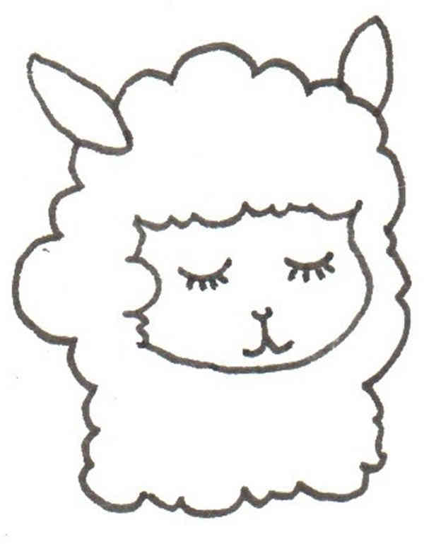 卡通画：羊驼的绘画步骤
