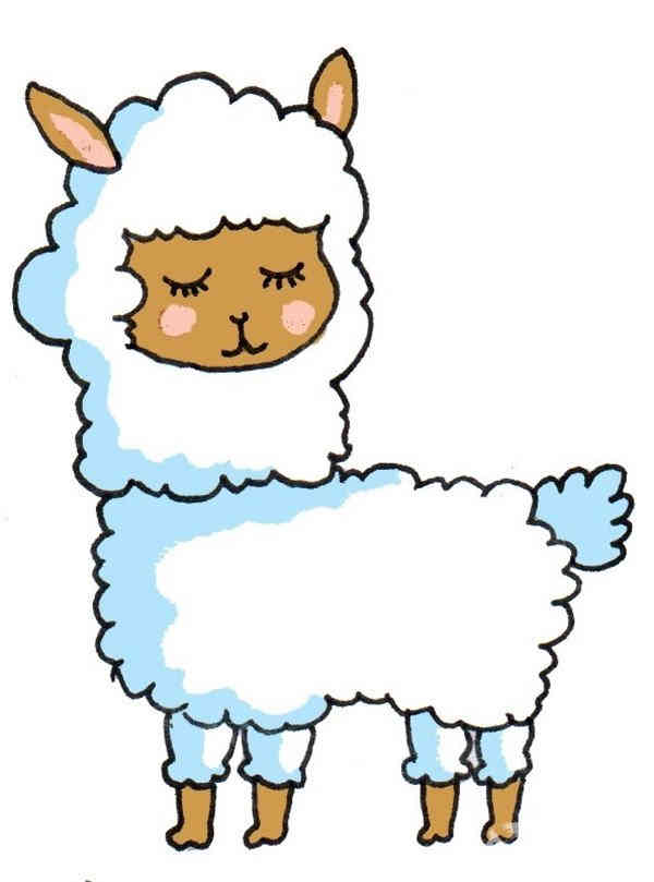 卡通画：羊驼的绘画步骤