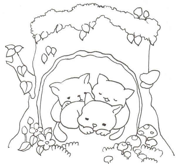 卡通树洞里的猫咪的绘画步骤