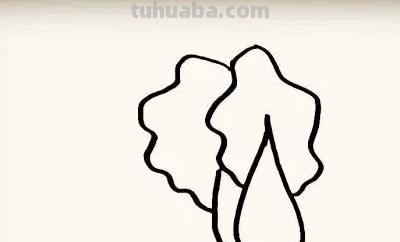 速写白菜画技巧法白菜速写图片