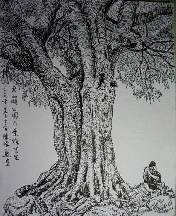 速写植物简单速写植物简单超清图