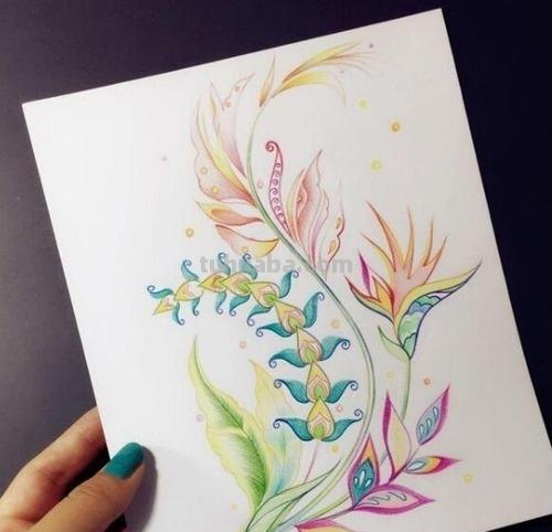 彩铅画怎么画荷花的彩铅画怎么画