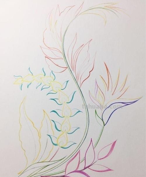 彩铅画怎么画荷花的彩铅画怎么画