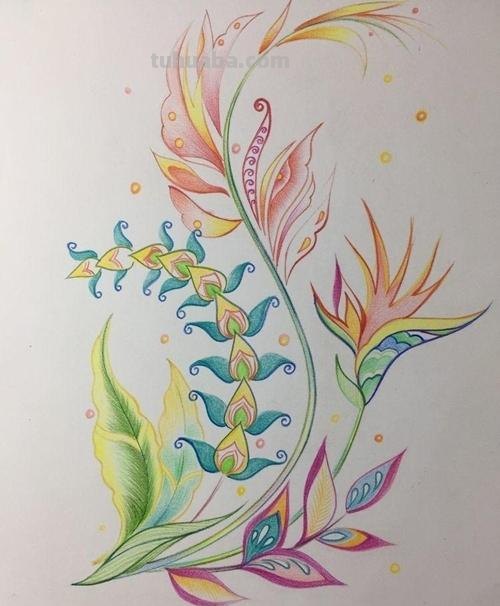 彩铅画怎么画荷花的彩铅画怎么画