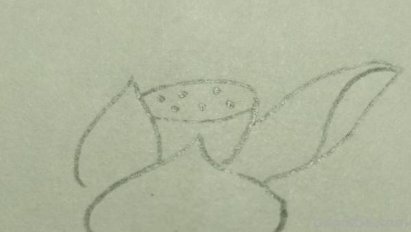 彩铅画什么好看（彩铅画什么好看?）