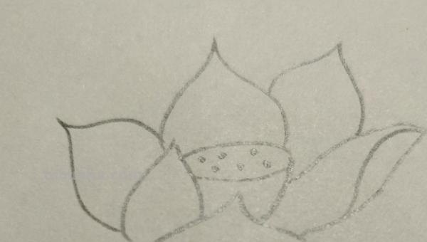 彩铅画什么好看（彩铅画什么好看?）