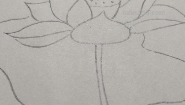 彩铅画什么好看（彩铅画什么好看?）