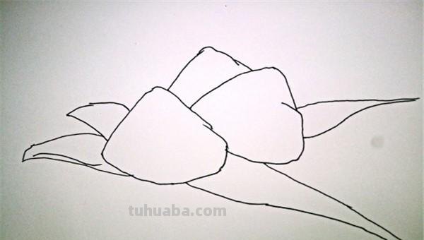 粽子怎么画简笔画（端午粽子怎么画简笔画）