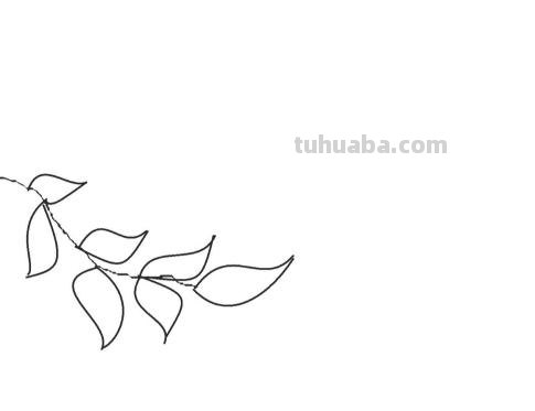 粽子怎么画简笔画（端午粽子怎么画简笔画）