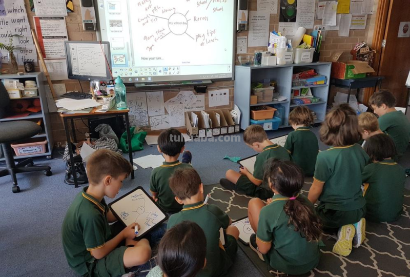 学龄前儿童适用的8种经典思维导图 学龄前儿童适用的8种经典思维导图